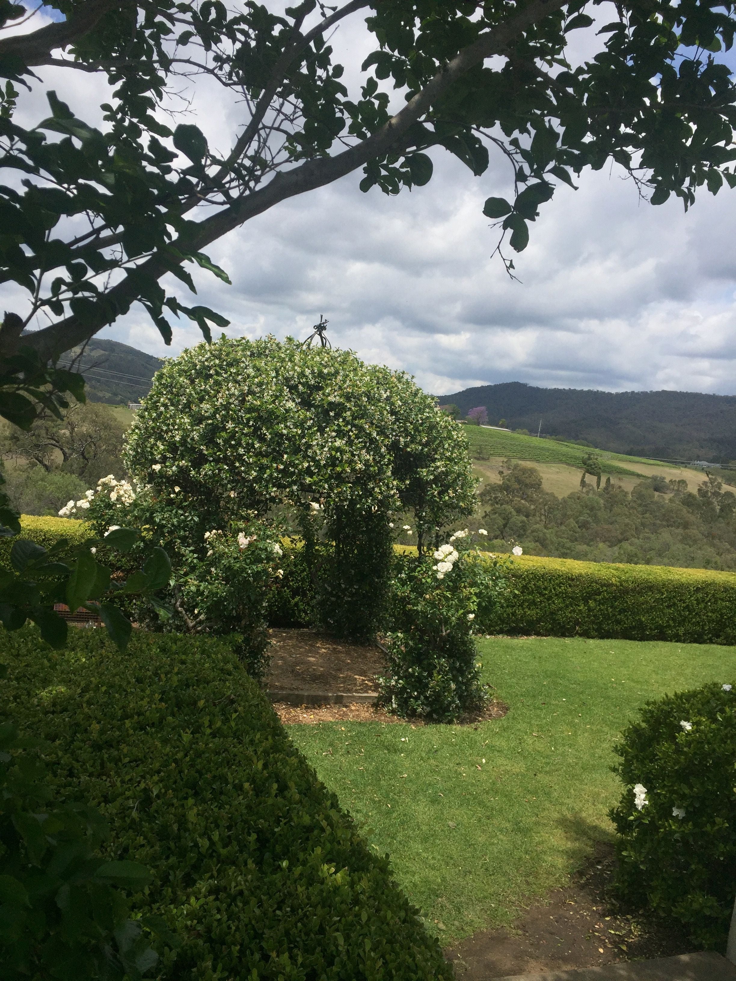 Hunter Valley Vineyard Group Bus Trips Image -5b1f2e522874c
